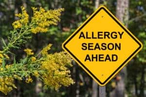 Allergia szezon